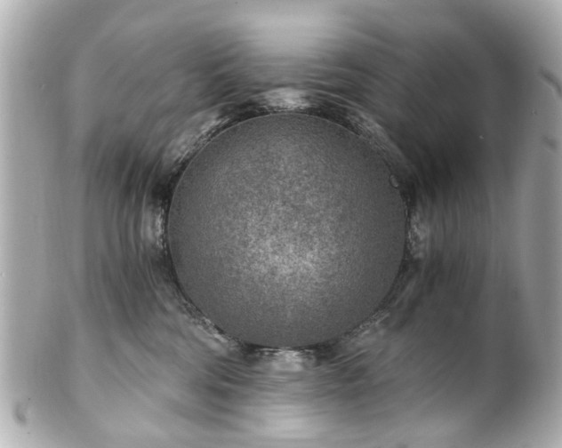 X0000100900330200807011226