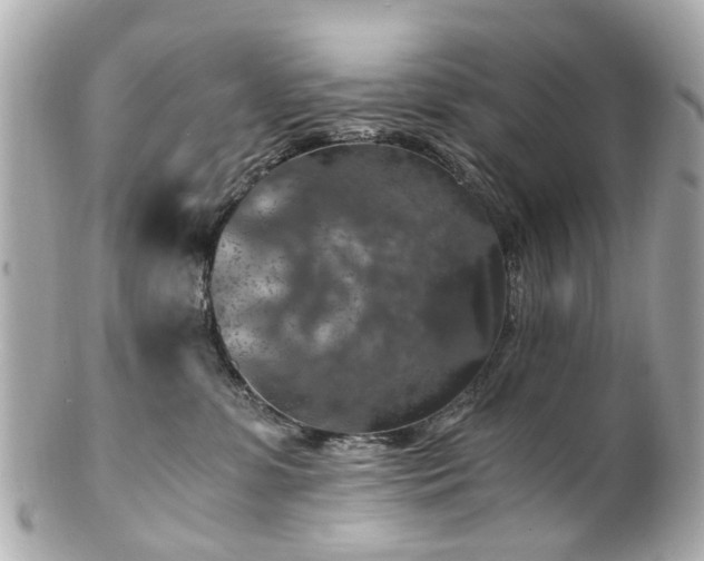 X0000100900331200807011226