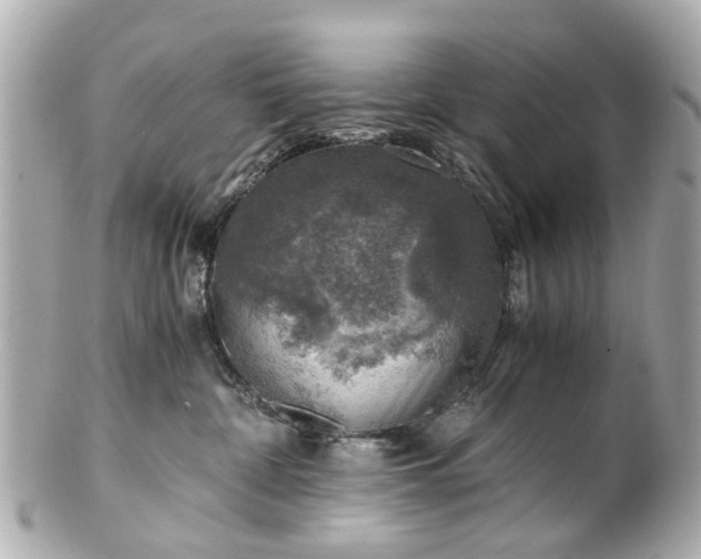 X0000100900332200807011226