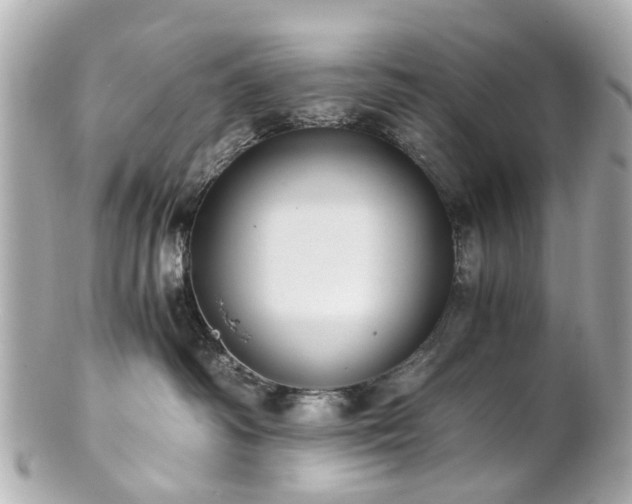 X0000100900334200807011226