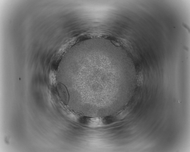 X0000100900335200807011226