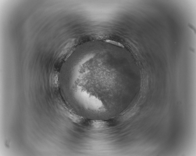 X0000100900336200807011226