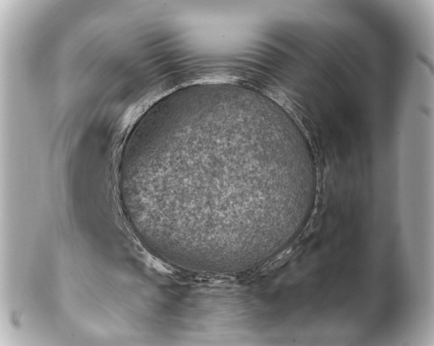 X0000100900337200807011226