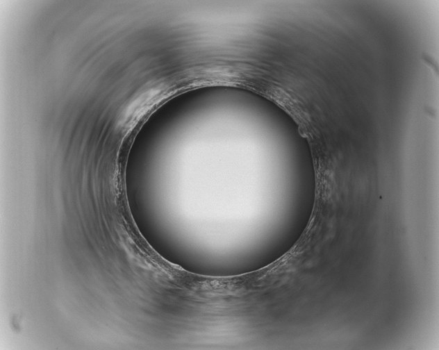 X0000100900338200807011226