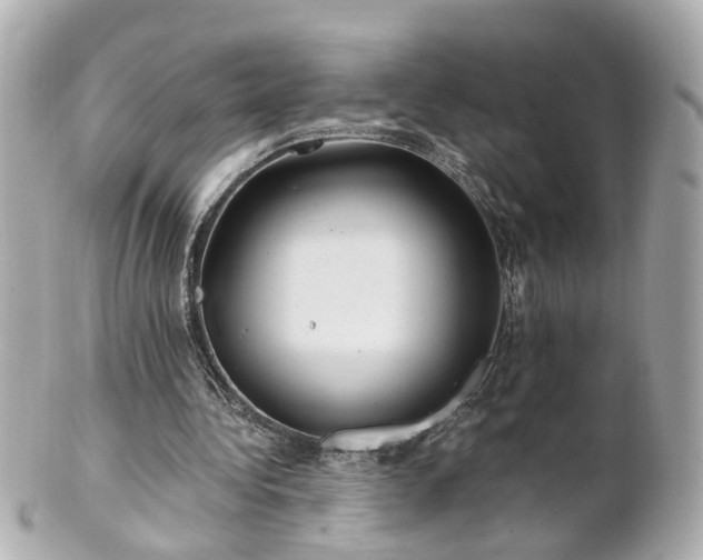 X0000100900340200807011226