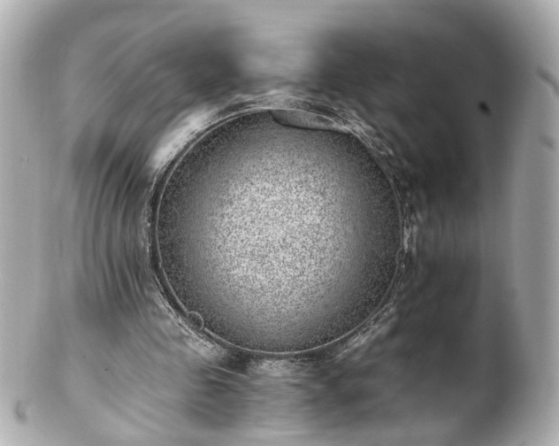 X0000100900341200807011226