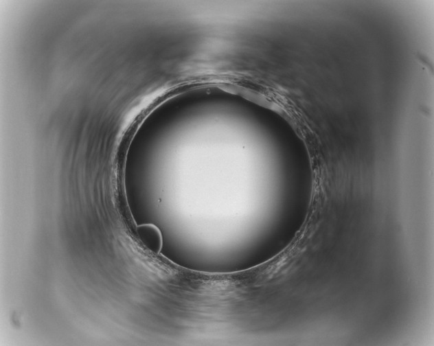 X0000100900342200807011226