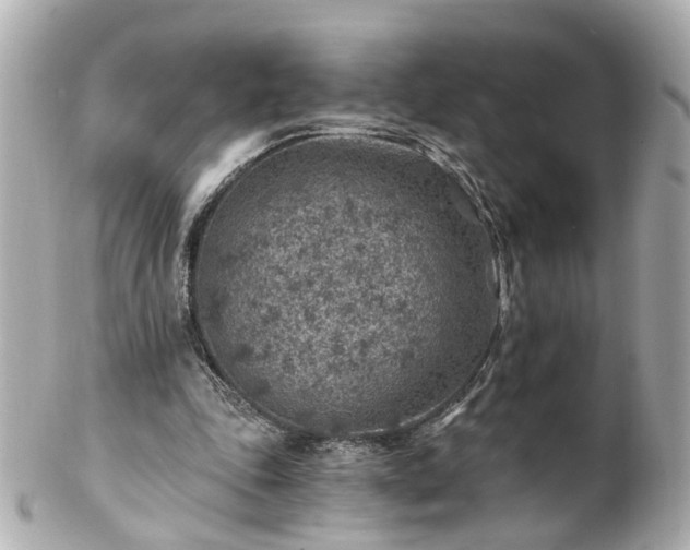 X0000100900343200807011226