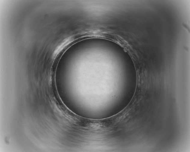 X0000100900344200807011226