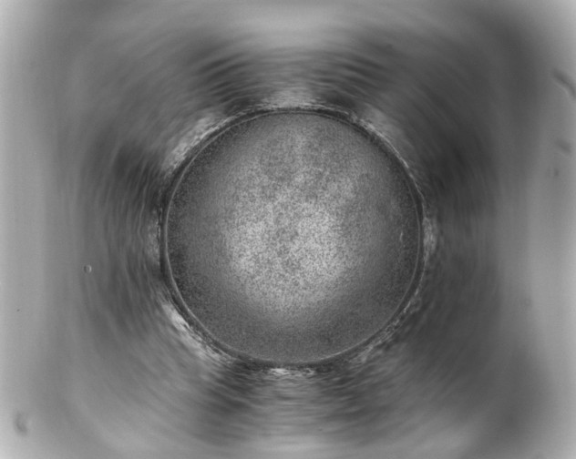 X0000100900345200807011226