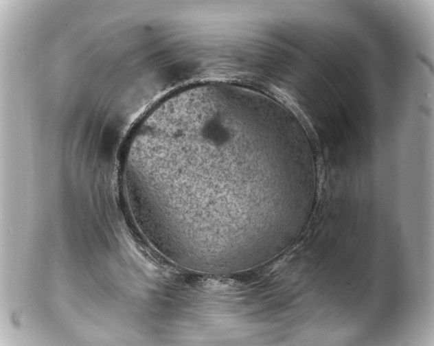 X0000100900346200807011226