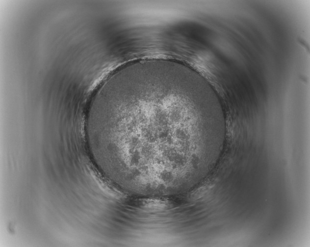 X0000100900347200807011226