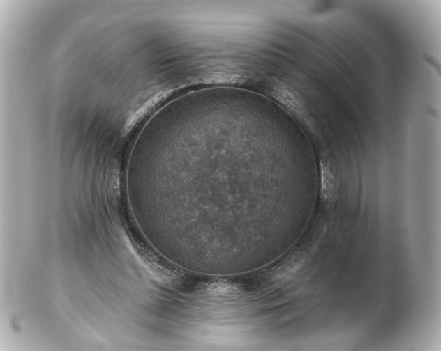 X0000100900348200807011226