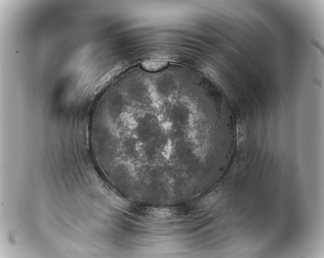 X0000100900349200807011226