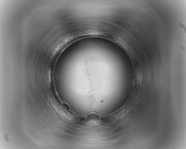 X0000100900350200807011226