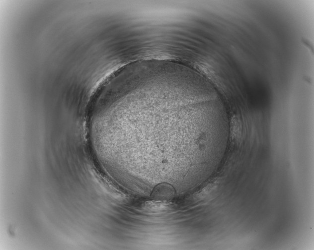 X0000100900351200807011226