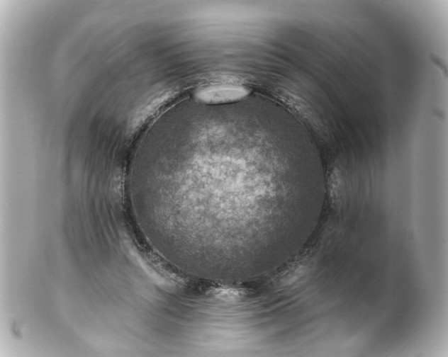 X0000100900352200807011226