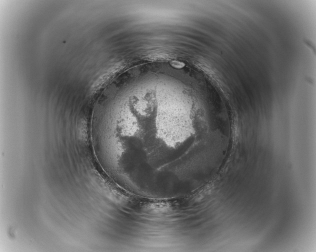 X0000100900353200807011226