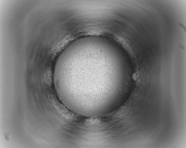 X0000100900354200807011226