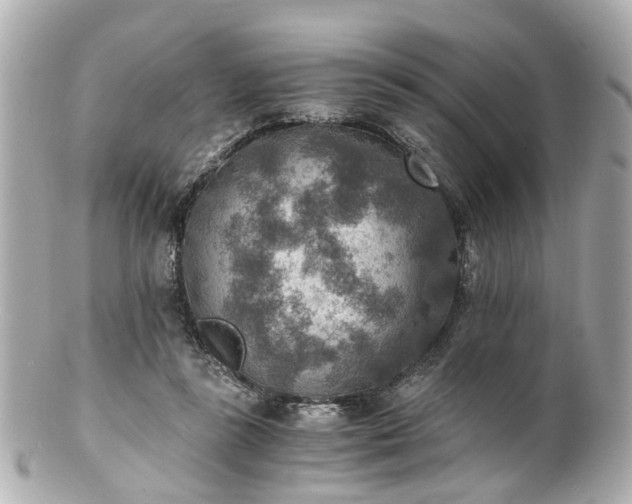 X0000100900355200807011226