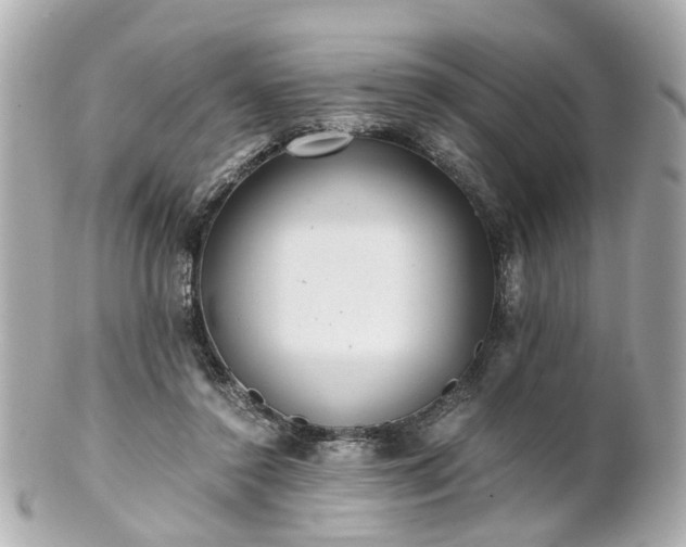 X0000100900356200807011226