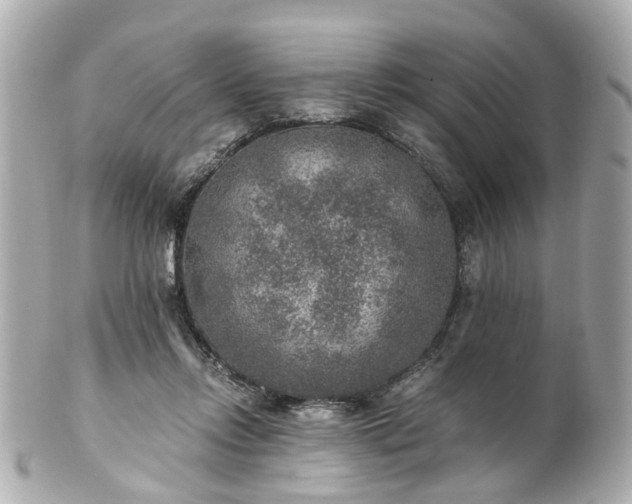 X0000100900358200807011226