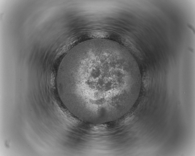 X0000100900359200807011226