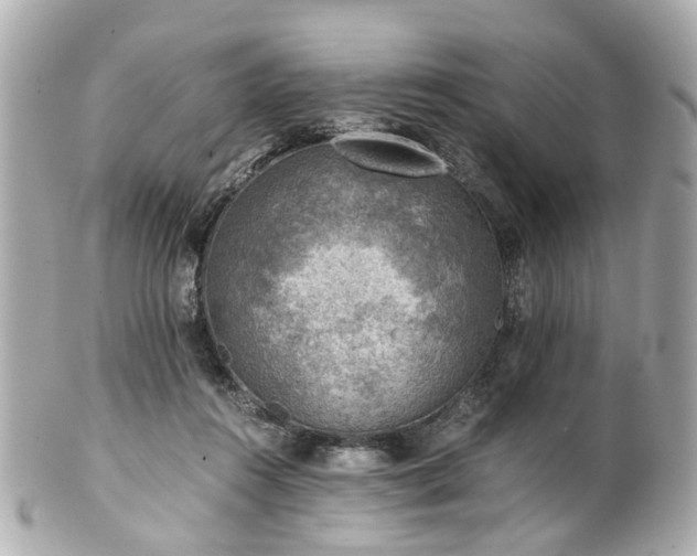 X0000100900360200807011226