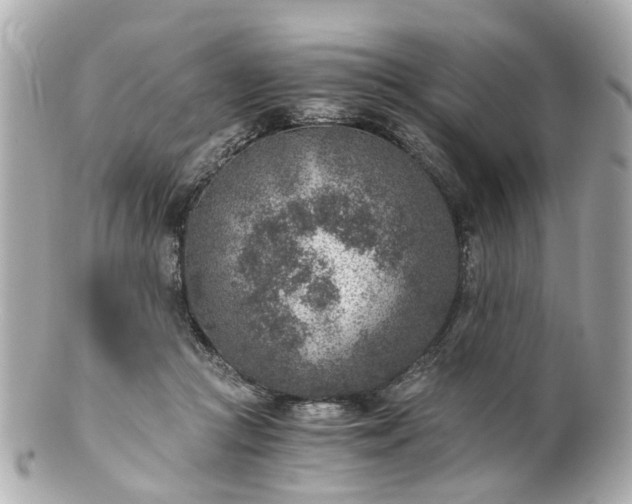 X0000100900361200807011226