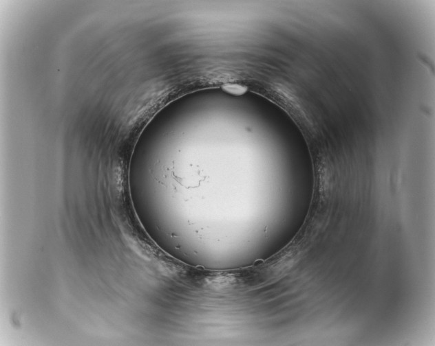 X0000100900362200807011226