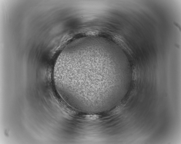 X0000100900363200807011226