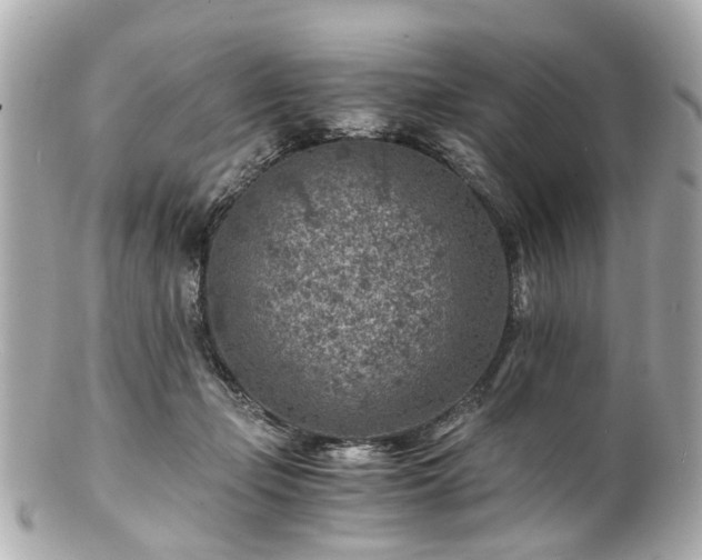 X0000100900365200807011226