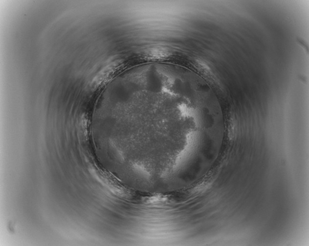 X0000100900366200807011226