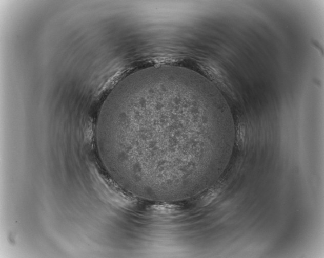 X0000100900367200807011226