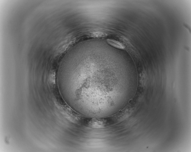 X0000100900368200807011226