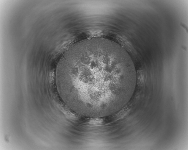 X0000100900369200807011226