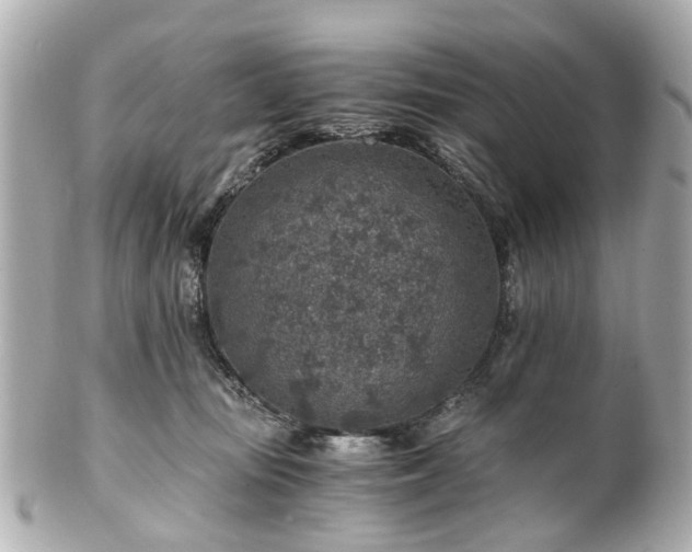 X0000100900371200807011226