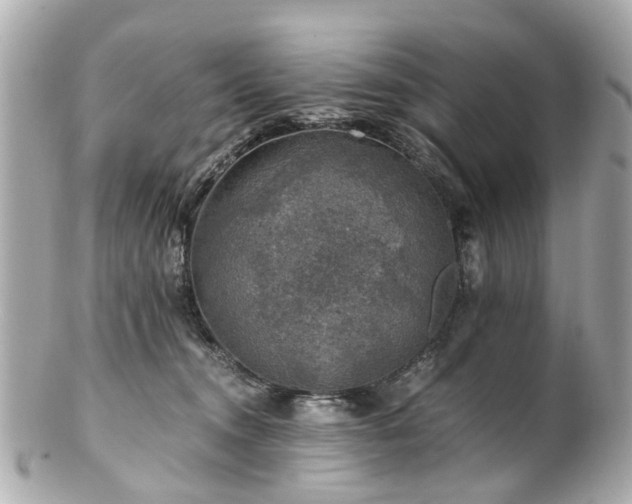 X0000100900372200807011226