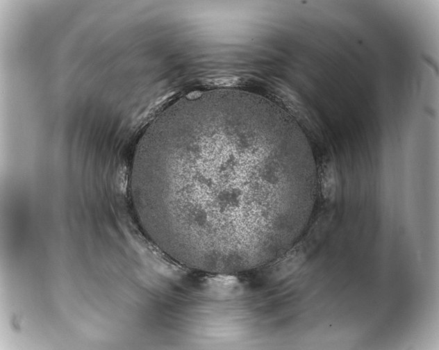 X0000100900374200807011226