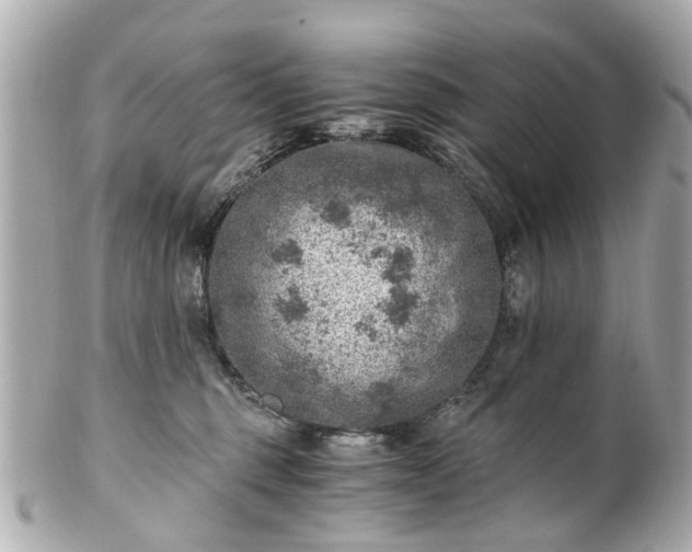 X0000100900375200807011226