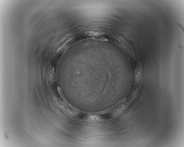 X0000100900376200807011226