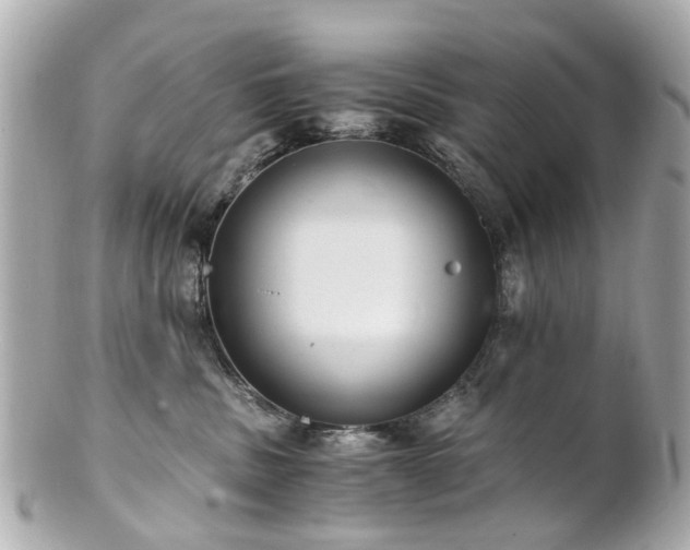 X0000100900379200807011226