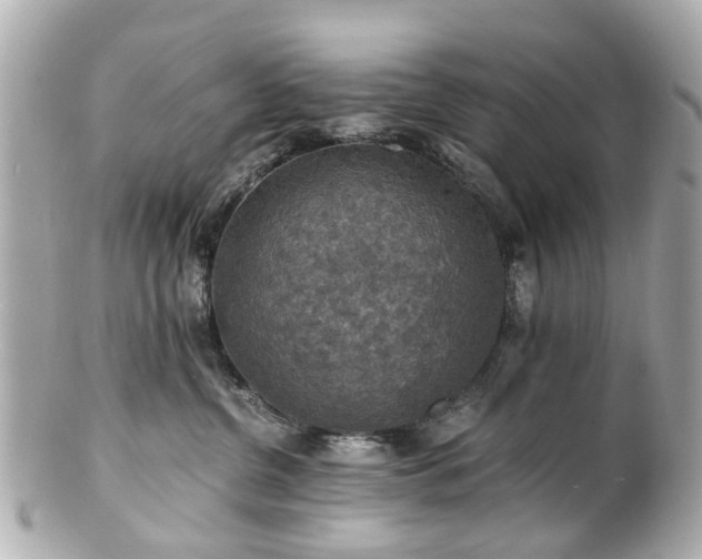 X0000100900380200807011226