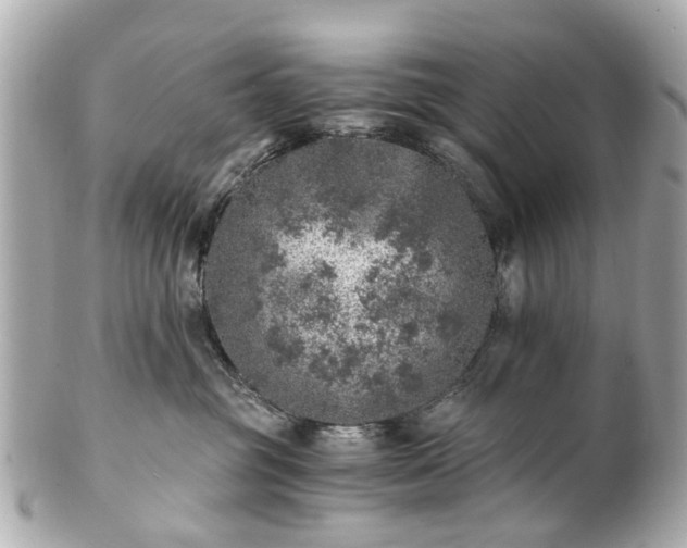 X0000100900381200807011226