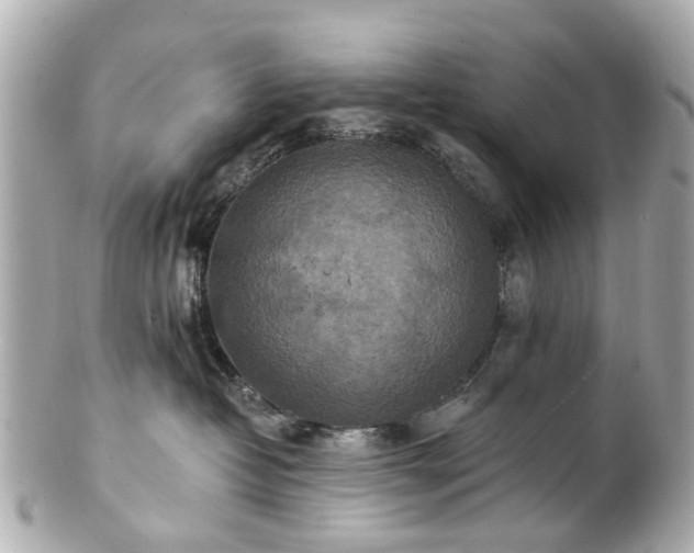 X0000100900382200807011226