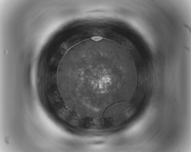 X0000100900383200807011226