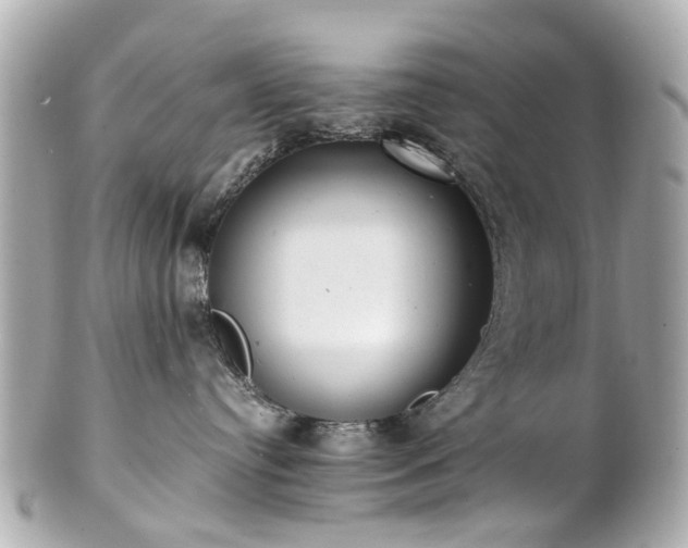 X0000100900384200807011226