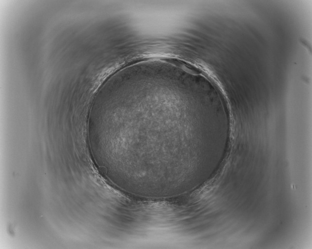 X0000100900385200807011226