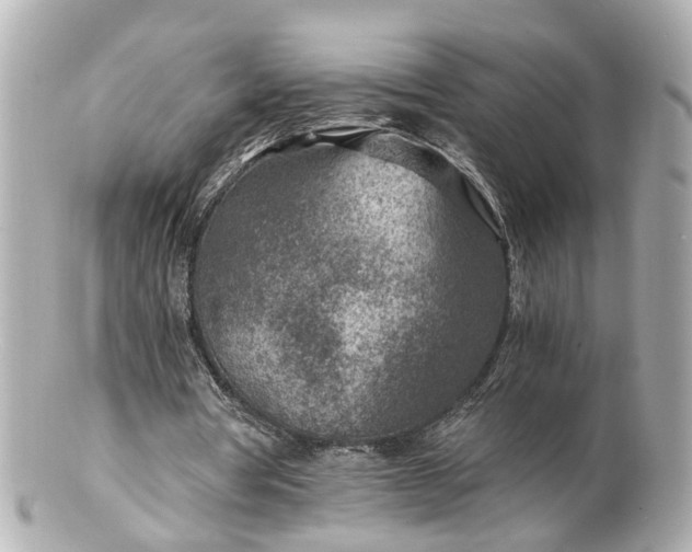 X0000100900386200807011226