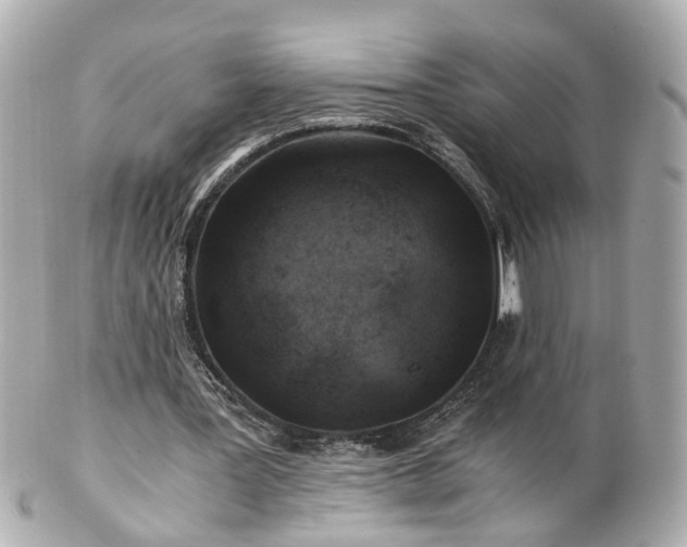 X0000100900387200807011226